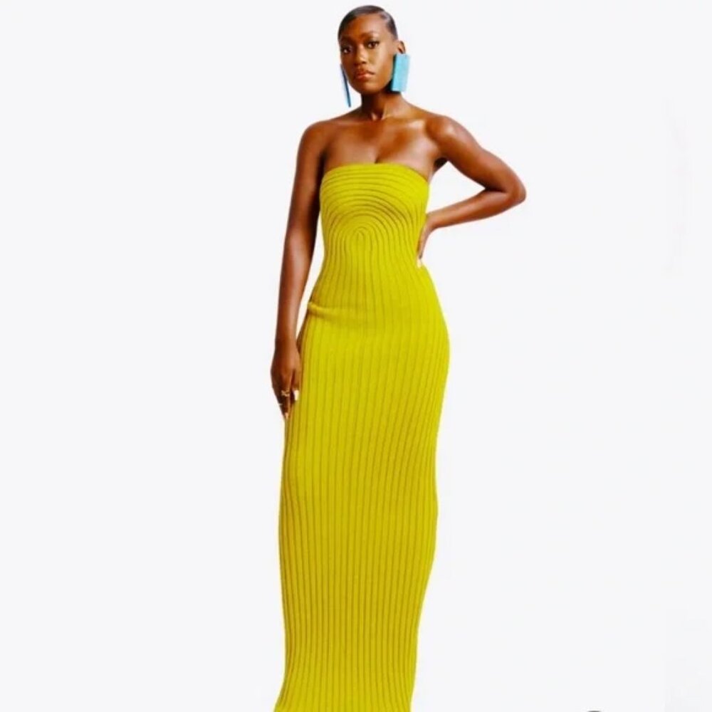Hanifa Roxi Knit Tube Maxi size Medium BNWT